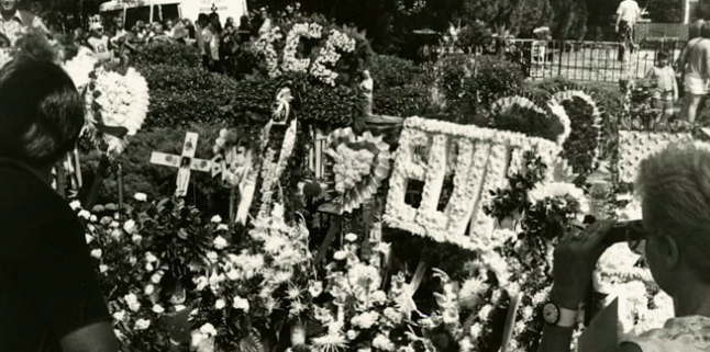 Fallback Image