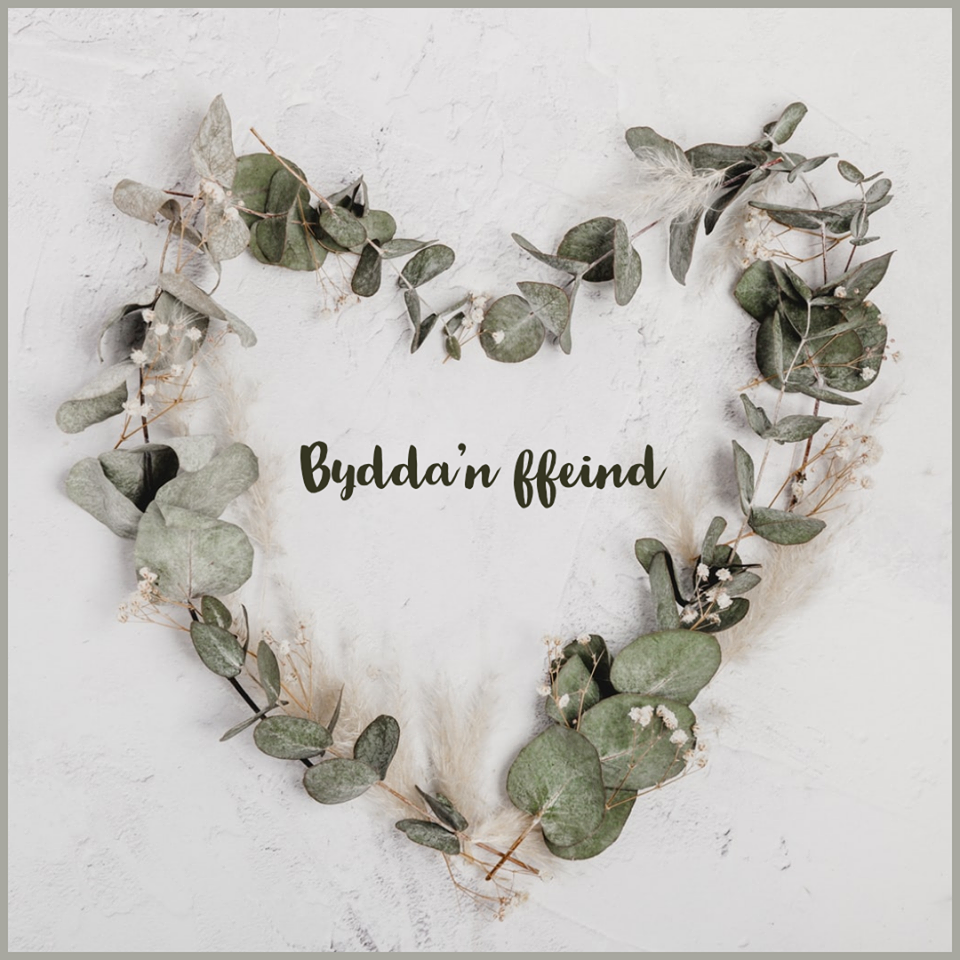 Fallback Image (WPML Translation)