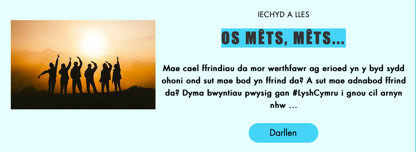 Fallback Image (WPML Translation)