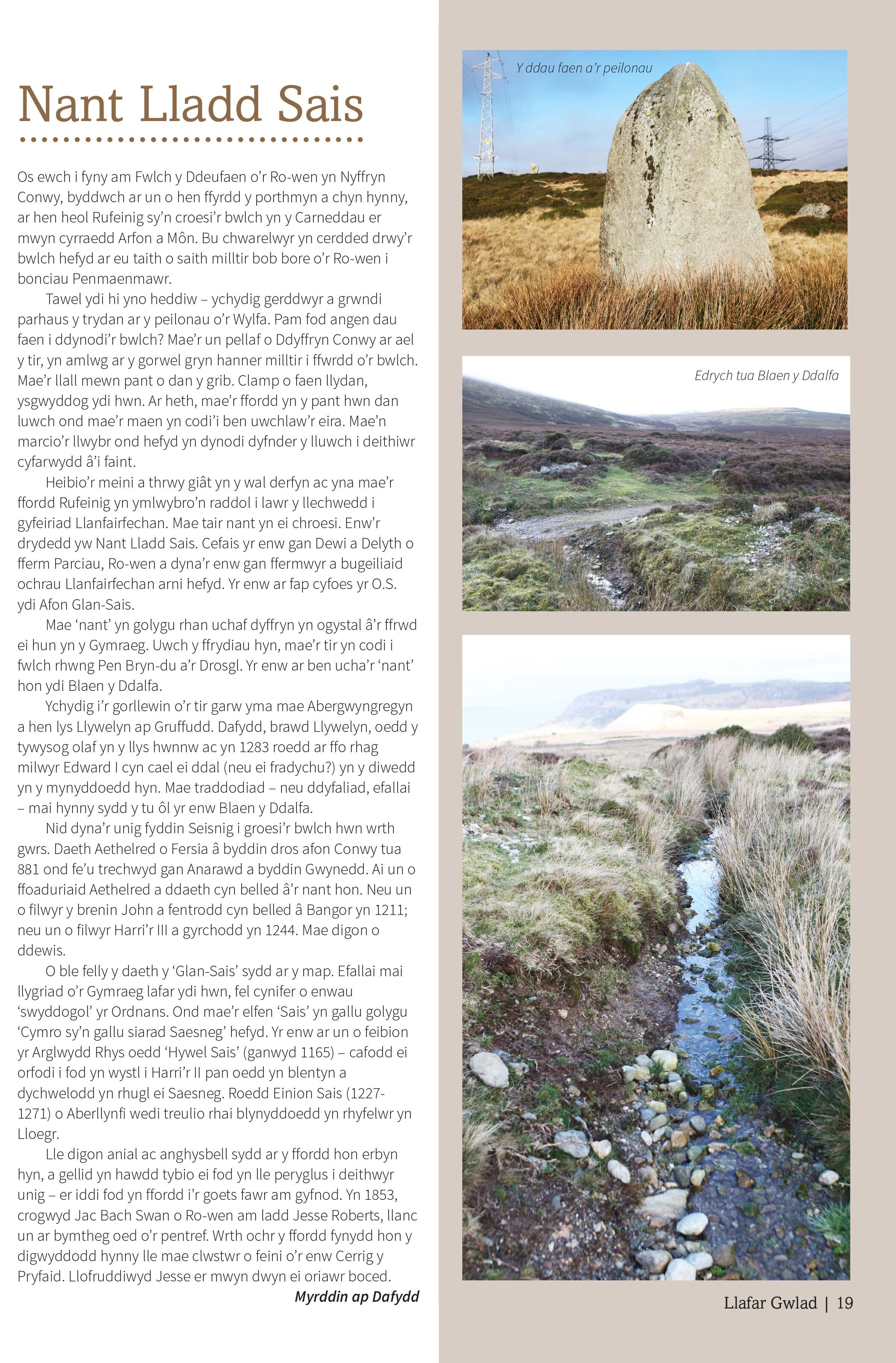 Fallback Image (WPML Translation)