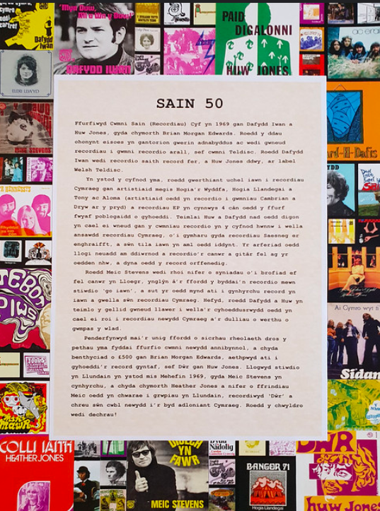 Fallback Image (WPML Translation)