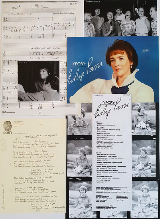 Fallback Image (WPML Translation)