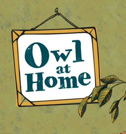 Fallback Image (WPML Translation)