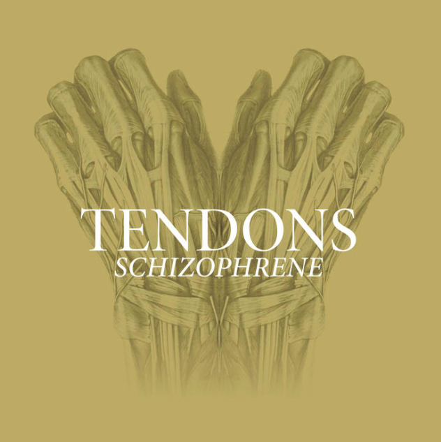 Fallback Image (WPML Translation)