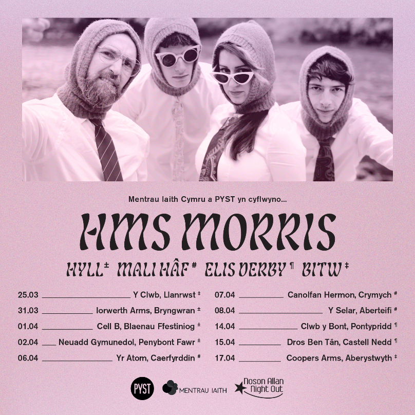 Fallback Image (WPML Translation)