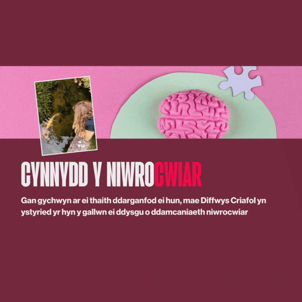 Maroon image with picture of a brain with a jig saw piece and a photo of a person leaning over a wall to look into a pond.