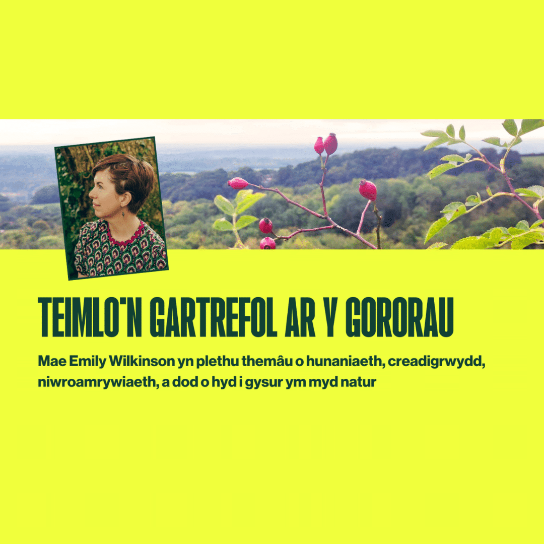 Yellow image with picture of a plant with berries and a photo of Emily Wilkinson
