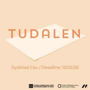 Orange image promoting Tudalen